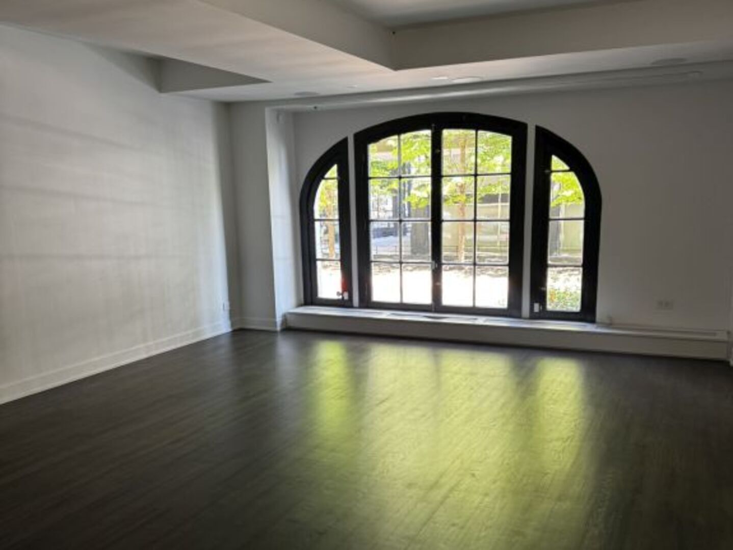 257 E Delaware Place 1A2A