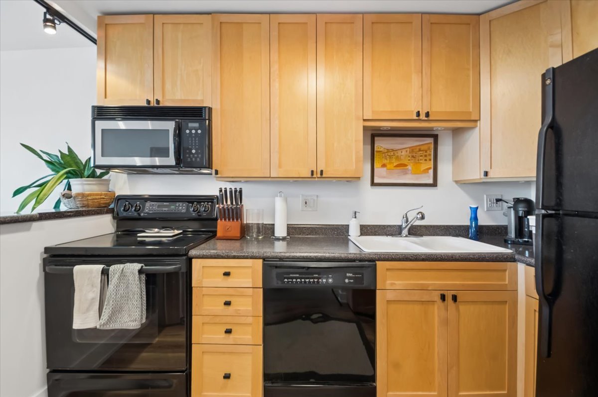 1560 N Sandburg Terrace 2207J