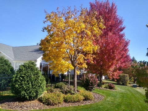 Tiny photo for 13189 W Essex Lane, Huntley, IL 60142 (MLS # 12686177)