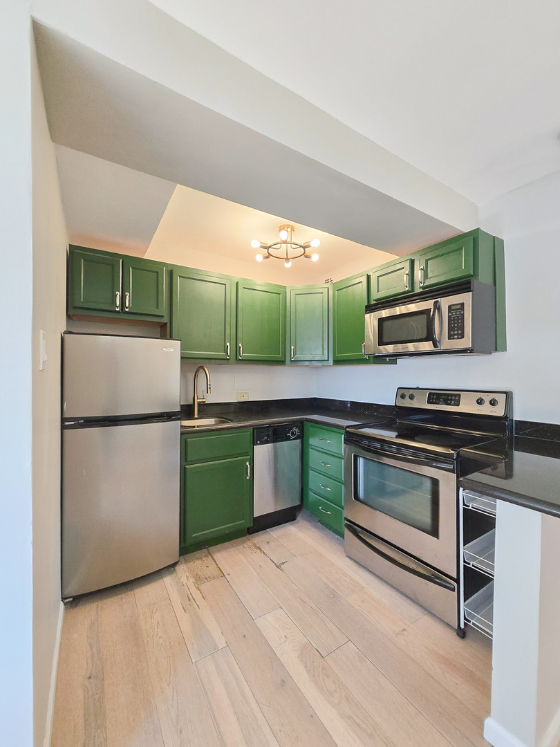 2909 N Sheridan Road 1810