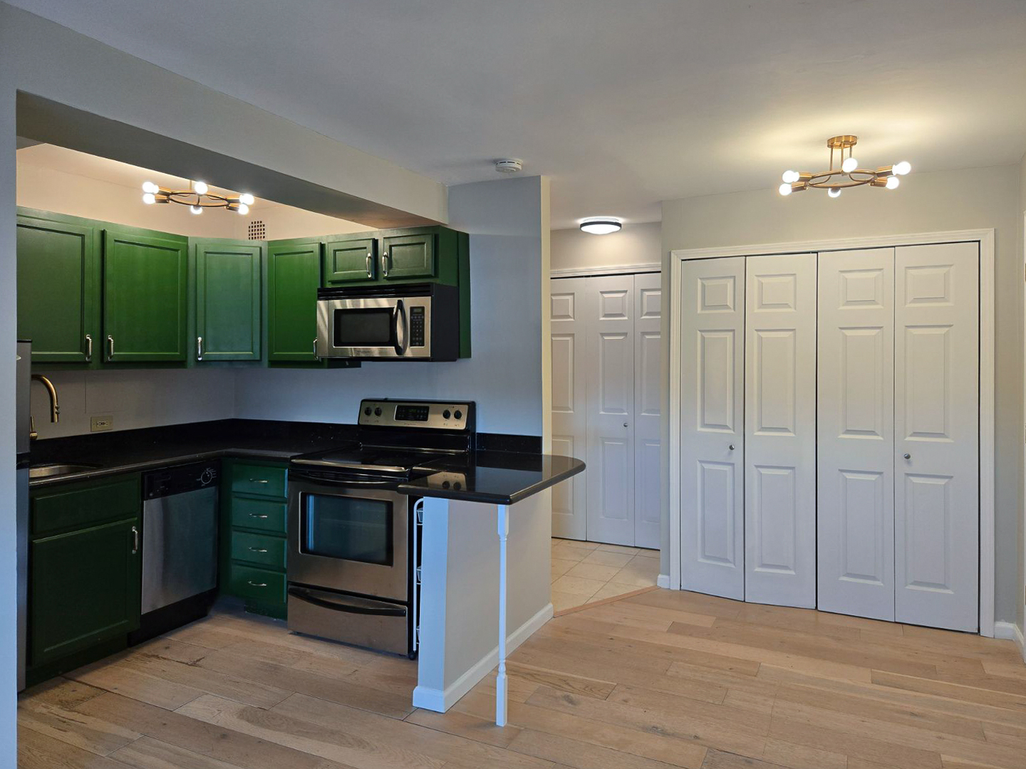 2909 N Sheridan Road 1810