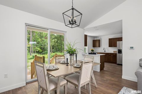 Tiny photo for 813 WILLIAMS Way, Carbon Cliff, IL 61239 (MLS # QC4268726)