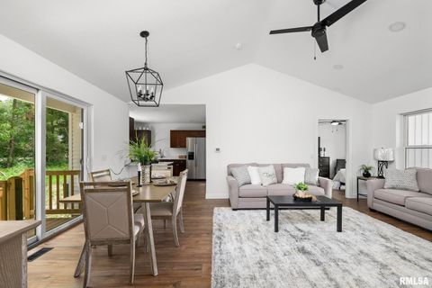 Tiny photo for 813 WILLIAMS Way, Carbon Cliff, IL 61239 (MLS # QC4268726)