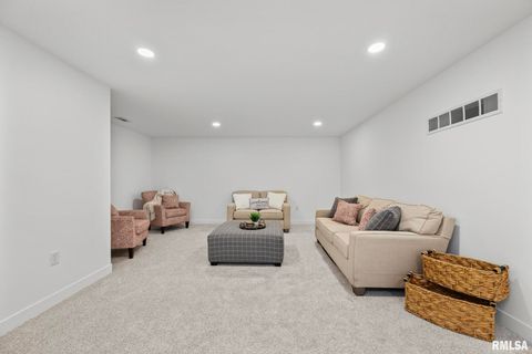 Tiny photo for 813 WILLIAMS Way, Carbon Cliff, IL 61239 (MLS # QC4268726)