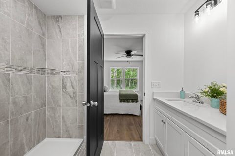 Tiny photo for 813 WILLIAMS Way, Carbon Cliff, IL 61239 (MLS # QC4268726)