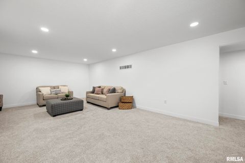 Tiny photo for 813 WILLIAMS Way, Carbon Cliff, IL 61239 (MLS # QC4268726)