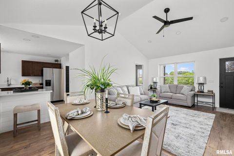 Tiny photo for 813 WILLIAMS Way, Carbon Cliff, IL 61239 (MLS # QC4268726)