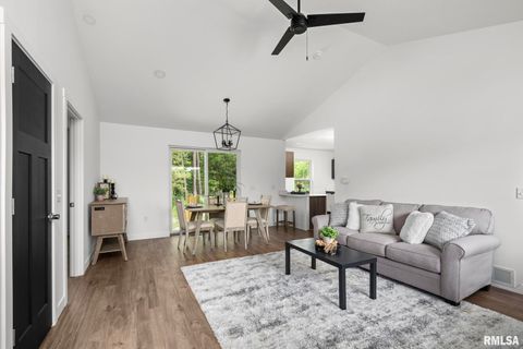 Tiny photo for 813 WILLIAMS Way, Carbon Cliff, IL 61239 (MLS # QC4268726)