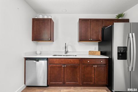 Tiny photo for 813 WILLIAMS Way, Carbon Cliff, IL 61239 (MLS # QC4268726)