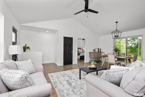 Tiny photo for 813 WILLIAMS Way, Carbon Cliff, IL 61239 (MLS # QC4268726)