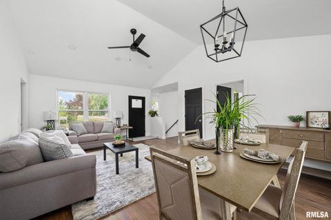 Tiny photo for 813 WILLIAMS Way, Carbon Cliff, IL 61239 (MLS # QC4268726)