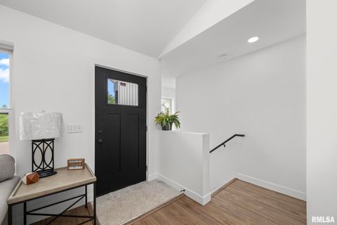 Tiny photo for 813 WILLIAMS Way, Carbon Cliff, IL 61239 (MLS # QC4268726)