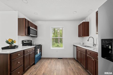 Tiny photo for 813 WILLIAMS Way, Carbon Cliff, IL 61239 (MLS # QC4268726)