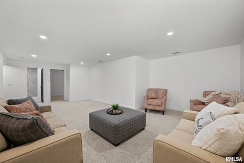 Tiny photo for 813 WILLIAMS Way, Carbon Cliff, IL 61239 (MLS # QC4268726)