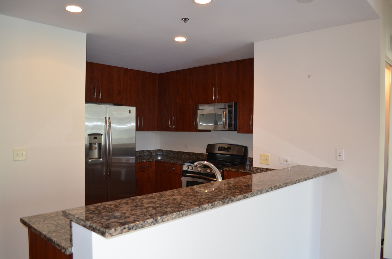 160 E Illinois Street 1605