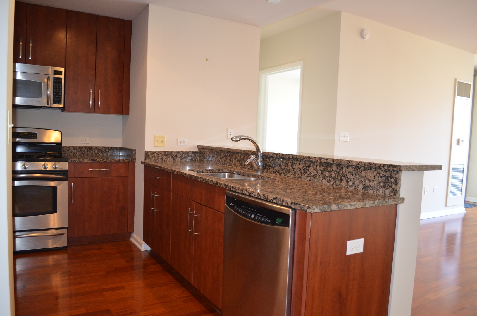 160 E Illinois Street 1605