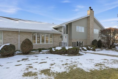 Photo of 10829 Minnesota Court #0, Orland Park, IL 60467 (MLS # 12541283)