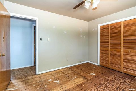 Tiny photo for 1378 Skelcher Boulevard, Makanda, IL 62958 (MLS # EB459815)