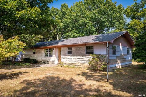 Tiny photo for 1378 Skelcher Boulevard, Makanda, IL 62958 (MLS # EB459815)