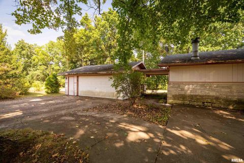 Tiny photo for 1378 Skelcher Boulevard, Makanda, IL 62958 (MLS # EB459815)