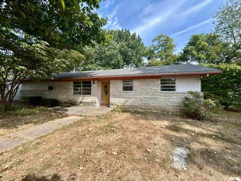 Photo of 1378 Skelcher Boulevard, Makanda, IL 62958 (MLS # EB459815)