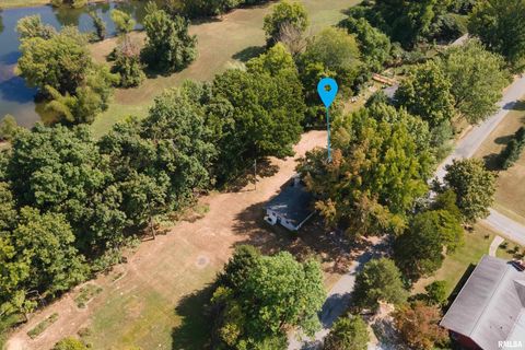 Tiny photo for 1378 Skelcher Boulevard, Makanda, IL 62958 (MLS # EB459815)