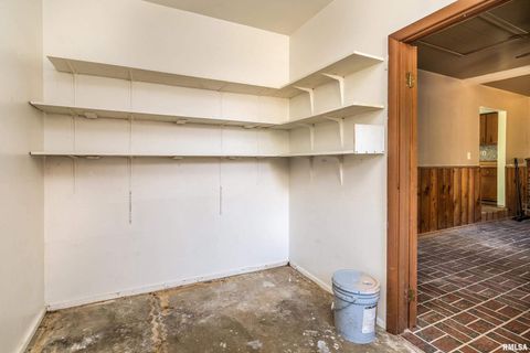 Tiny photo for 1378 Skelcher Boulevard, Makanda, IL 62958 (MLS # EB459815)