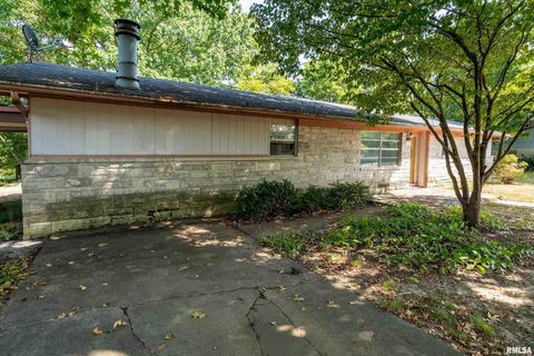 Tiny photo for 1378 Skelcher Boulevard, Makanda, IL 62958 (MLS # EB459815)