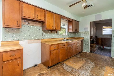 Tiny photo for 1378 Skelcher Boulevard, Makanda, IL 62958 (MLS # EB459815)