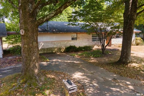 Tiny photo for 1378 Skelcher Boulevard, Makanda, IL 62958 (MLS # EB459815)