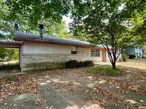 Tiny photo for 1378 Skelcher Boulevard, Makanda, IL 62958 (MLS # EB459815)