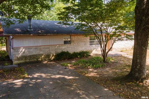 Tiny photo for 1378 Skelcher Boulevard, Makanda, IL 62958 (MLS # EB459815)