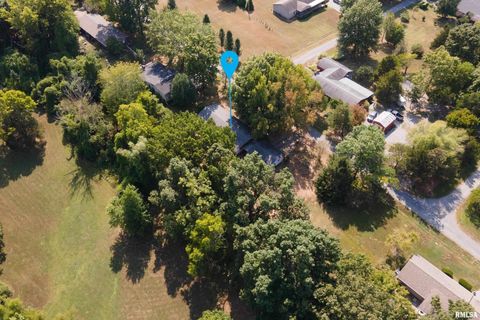 Tiny photo for 1378 Skelcher Boulevard, Makanda, IL 62958 (MLS # EB459815)