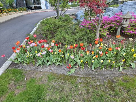Tiny photo for 4250 N Marine Drive #511, Chicago, IL 60613 (MLS # 12641333)