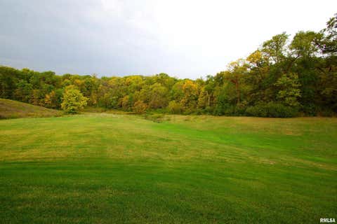 Tiny photo for 10703 52ND Street Court W, Milan, IL 61264 (MLS # 12666438)