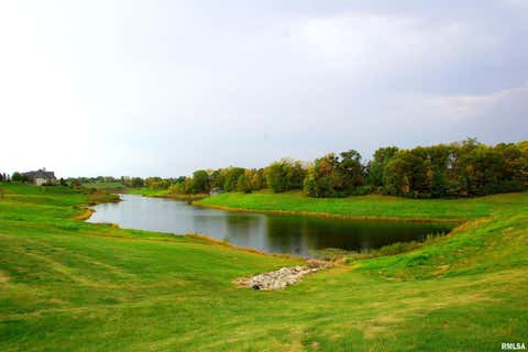 Tiny photo for 10703 52ND Street Court W, Milan, IL 61264 (MLS # 12666438)