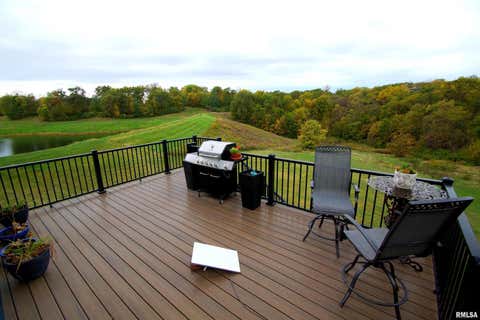 Tiny photo for 10703 52ND Street Court W, Milan, IL 61264 (MLS # 12666438)