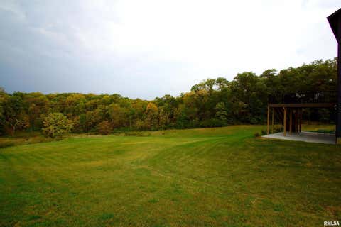 Tiny photo for 10703 52ND Street Court W, Milan, IL 61264 (MLS # 12666438)