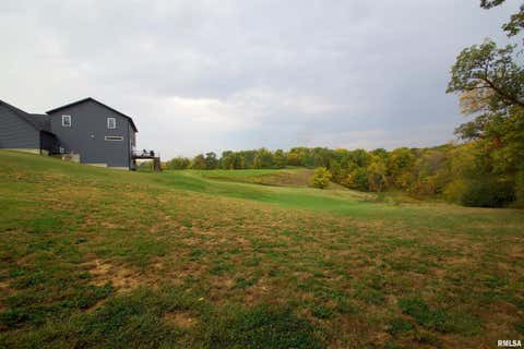 Tiny photo for 10703 52ND Street Court W, Milan, IL 61264 (MLS # 12666438)