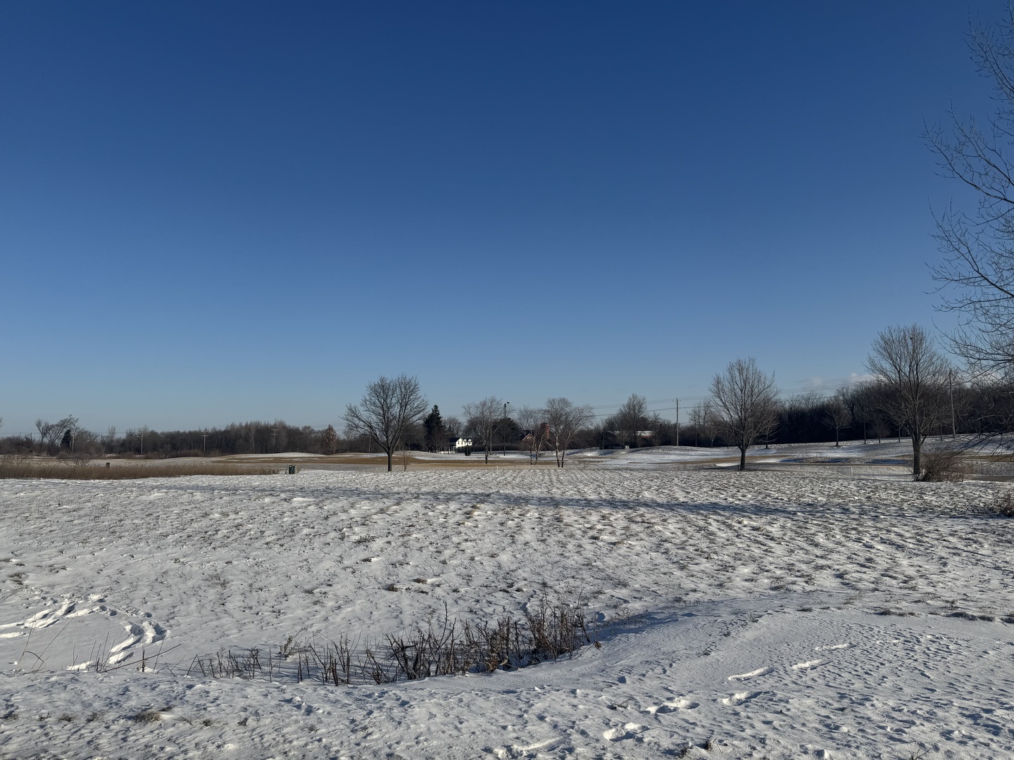 10006 Saint Andrews Drive