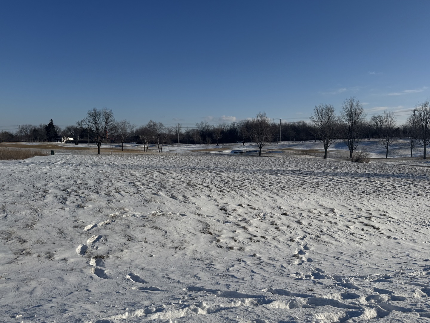 10006 Saint Andrews Drive