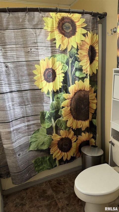 Tiny photo for 1208 E 5TH Street, West Frankfort, IL 62896 (MLS # EB454435)