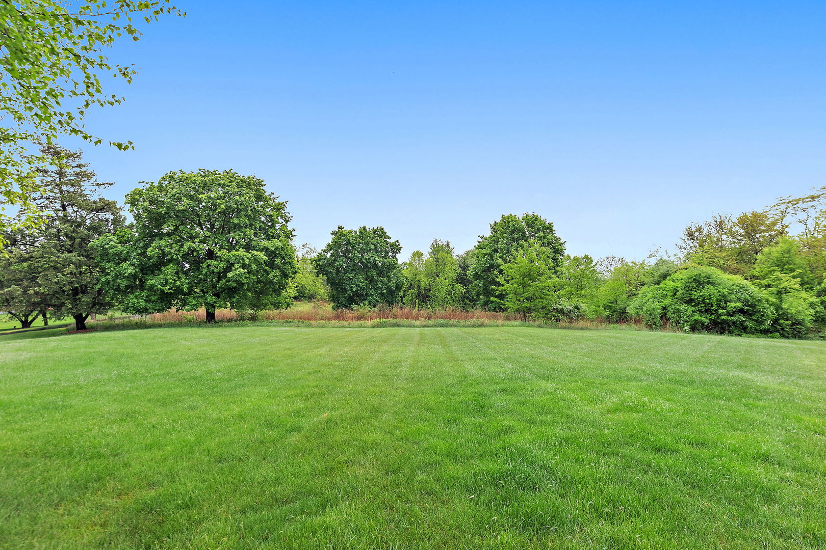 660 Plum Tree Drive