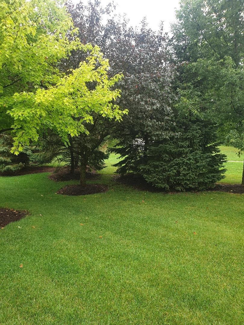 28121 W Sonoma Pass 28121