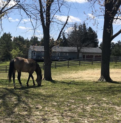 Tiny photo for 8206 Bull Valley Road, Bull Valley, IL 60098 (MLS # 12550587)