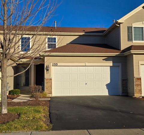 Photo of 255 Wildmeadow Lane, Woodstock, IL 60098 (MLS # 12522792)