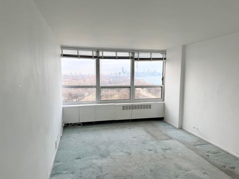 Tiny photo for 4800 S Chicago Beach Drive #1606N, Chicago, IL 60615 (MLS # 12534689)