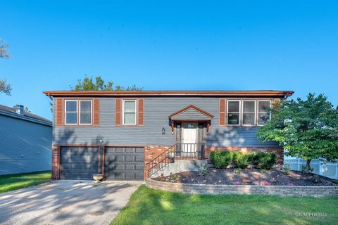 20052 S Sycamore Drive Frankfort IL 60423