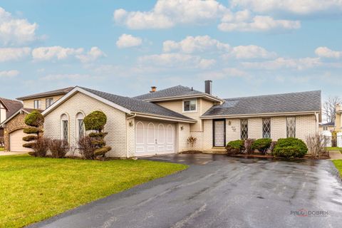 1124 N Anvil Court Addison IL 60101