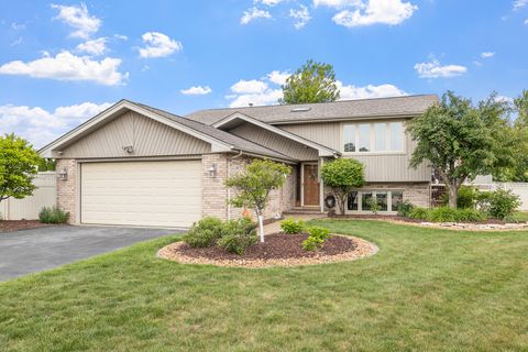 13641 W Ironwood Circle Homer Glen IL 60491